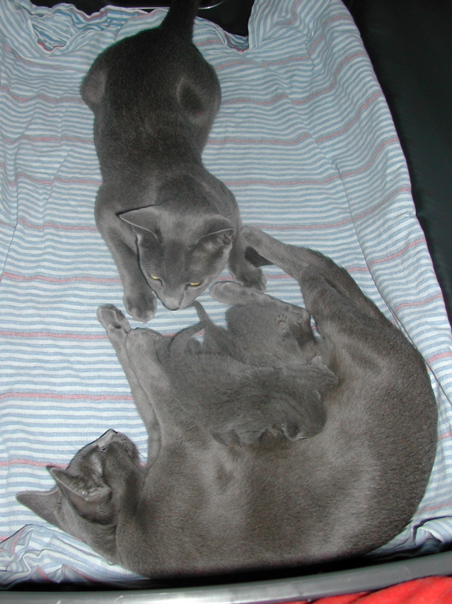 DSCN4307.JPG
