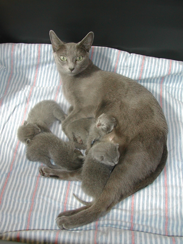 DSCN4298.JPG