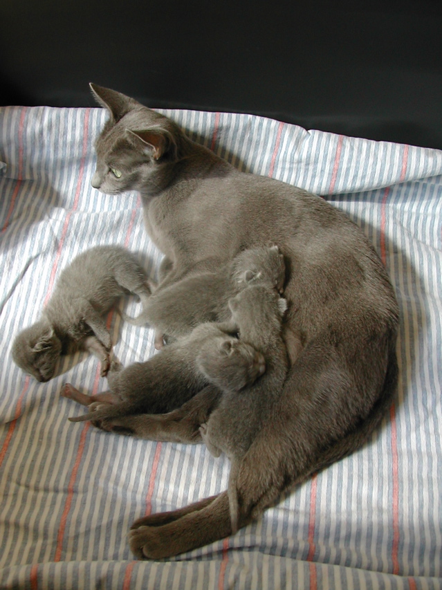 DSCN4296.JPG