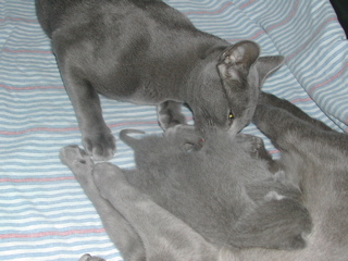 DSCN4306.JPG