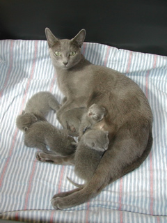 DSCN4298.JPG