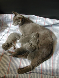 DSCN4296.JPG