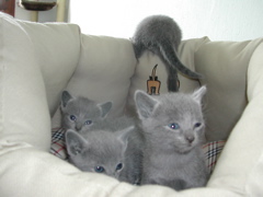 DSCN4510.JPG