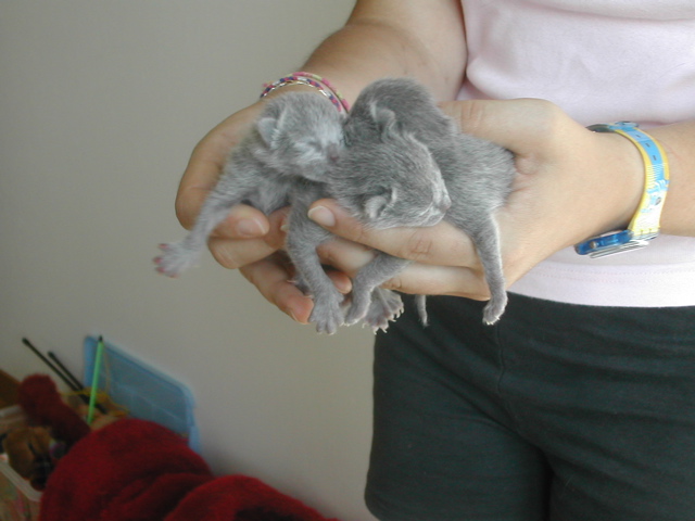 DSCN4186.JPG