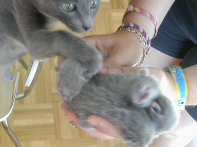 DSCN4189.JPG