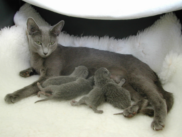 DSCN4191.JPG