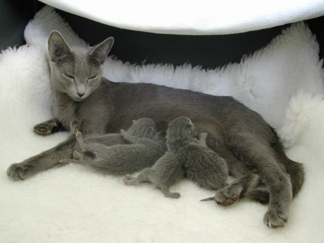 DSCN4192.JPG