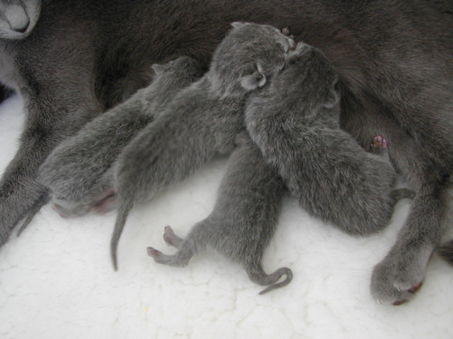 DSCN4194.JPG