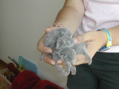 DSCN4185.JPG
