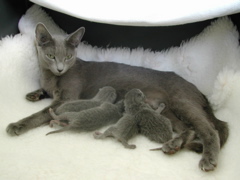 DSCN4191.JPG
