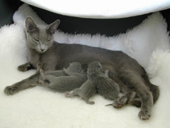 DSCN4192.JPG