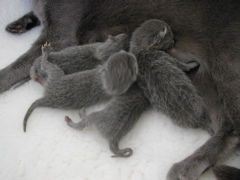 DSCN4193.JPG