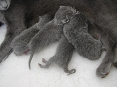 DSCN4194.JPG