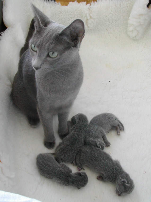 DSCN4233.JPG