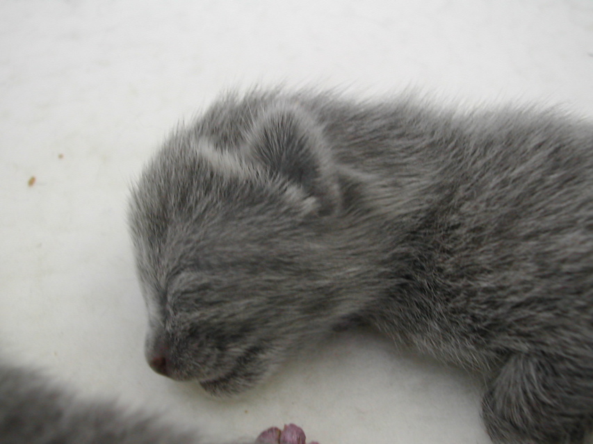 DSCN4237.JPG