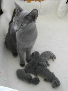 DSCN4233.JPG