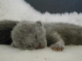 DSCN4235.JPG