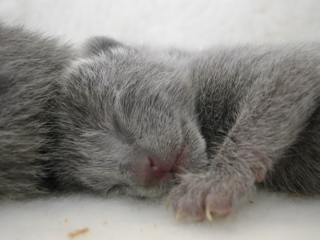 DSCN4236.JPG
