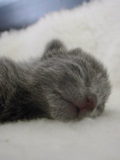 DSCN4238.JPG