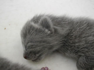 DSCN4237.JPG