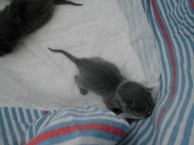 DSCN4173.JPG