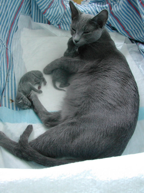 DSCN4181.JPG
