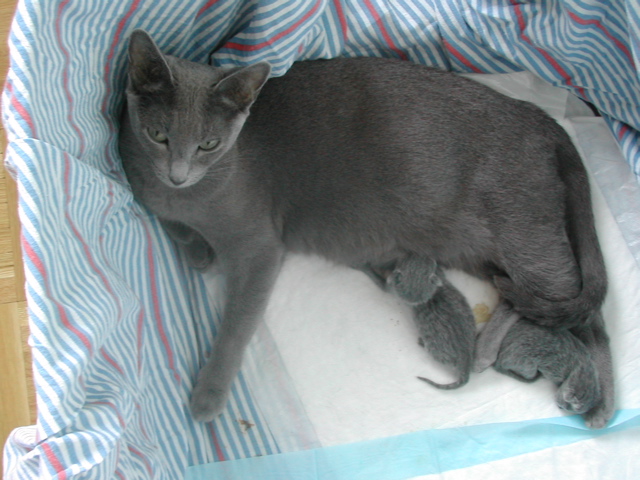 DSCN4184.JPG