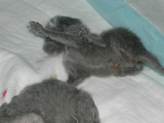 DSCN4167.JPG