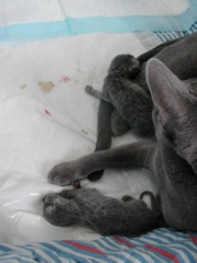 DSCN4172.JPG