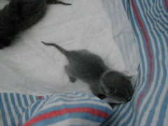 DSCN4173.JPG