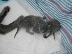 DSCN4178.JPG