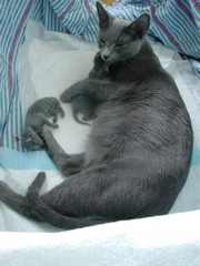 DSCN4181.JPG