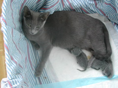 DSCN4184.JPG