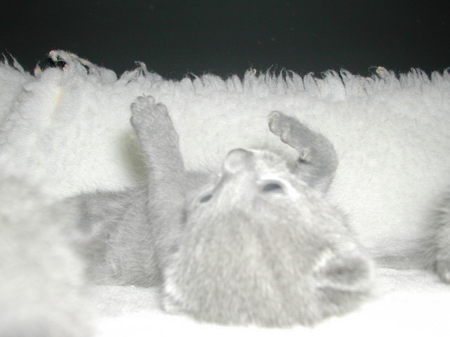 DSCN4363.JPG