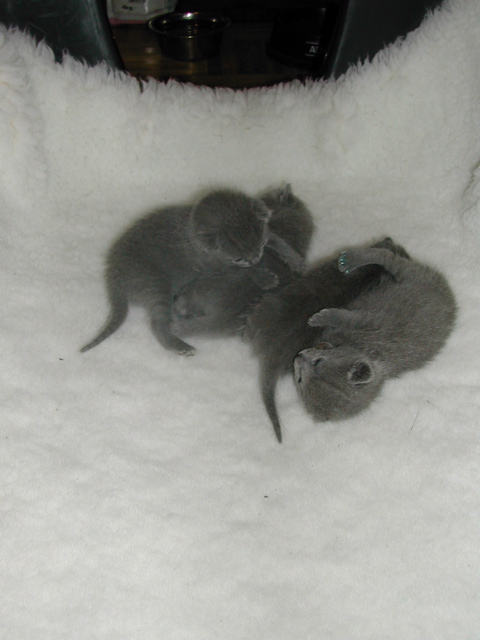 DSCN4368.JPG