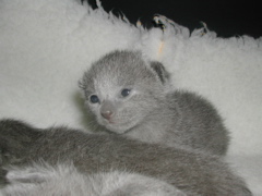 DSCN4354.JPG