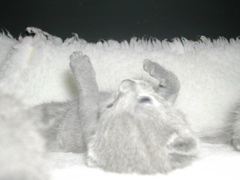 DSCN4363.JPG