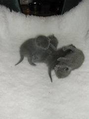 DSCN4368.JPG