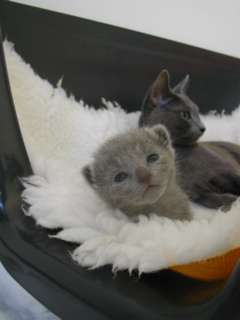DSCN4378.JPG