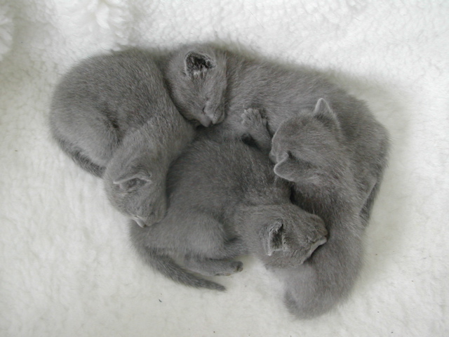 DSCN4469.JPG