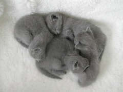 DSCN4469.JPG