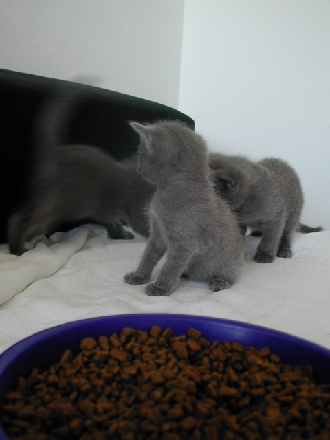 DSCN4542.JPG