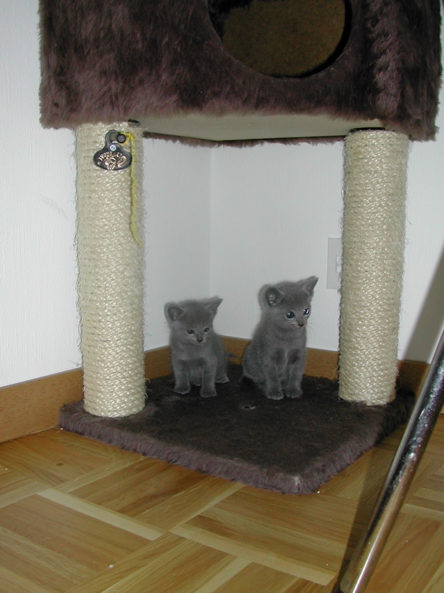 Mylha et Mirage