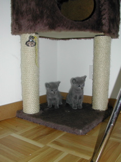 Mylha et Mirage