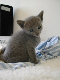 Mylha