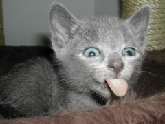 DSCN4667.JPG