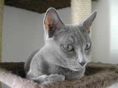 DSCN4767.JPG