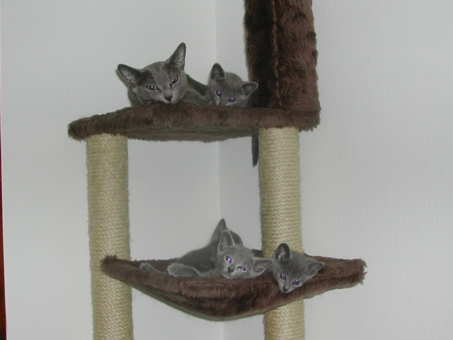 DSCN4830.JPG