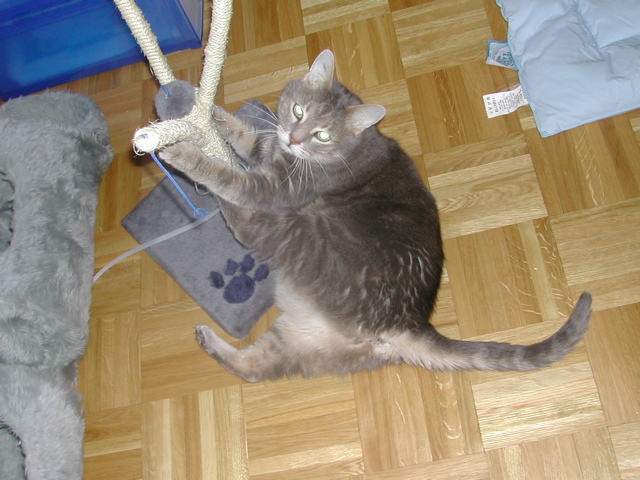 DSCN4833.JPG
