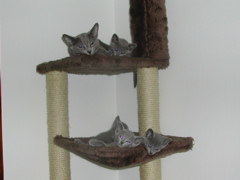 DSCN4830.JPG